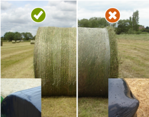 A good quality round bale vs a poorly wrapped round bale.