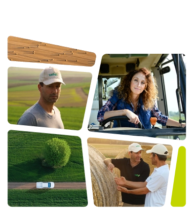 Collage of photos for Homepage in mobile