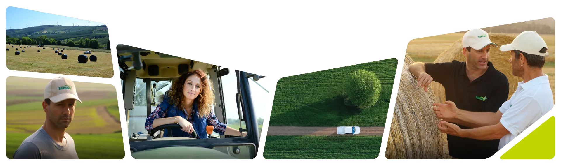 Asist in the field